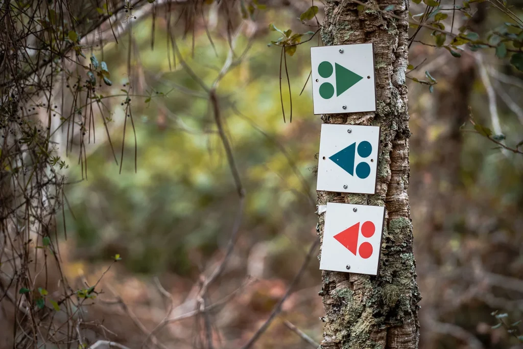 Trois circuits vtt dans la forêt de Soustons