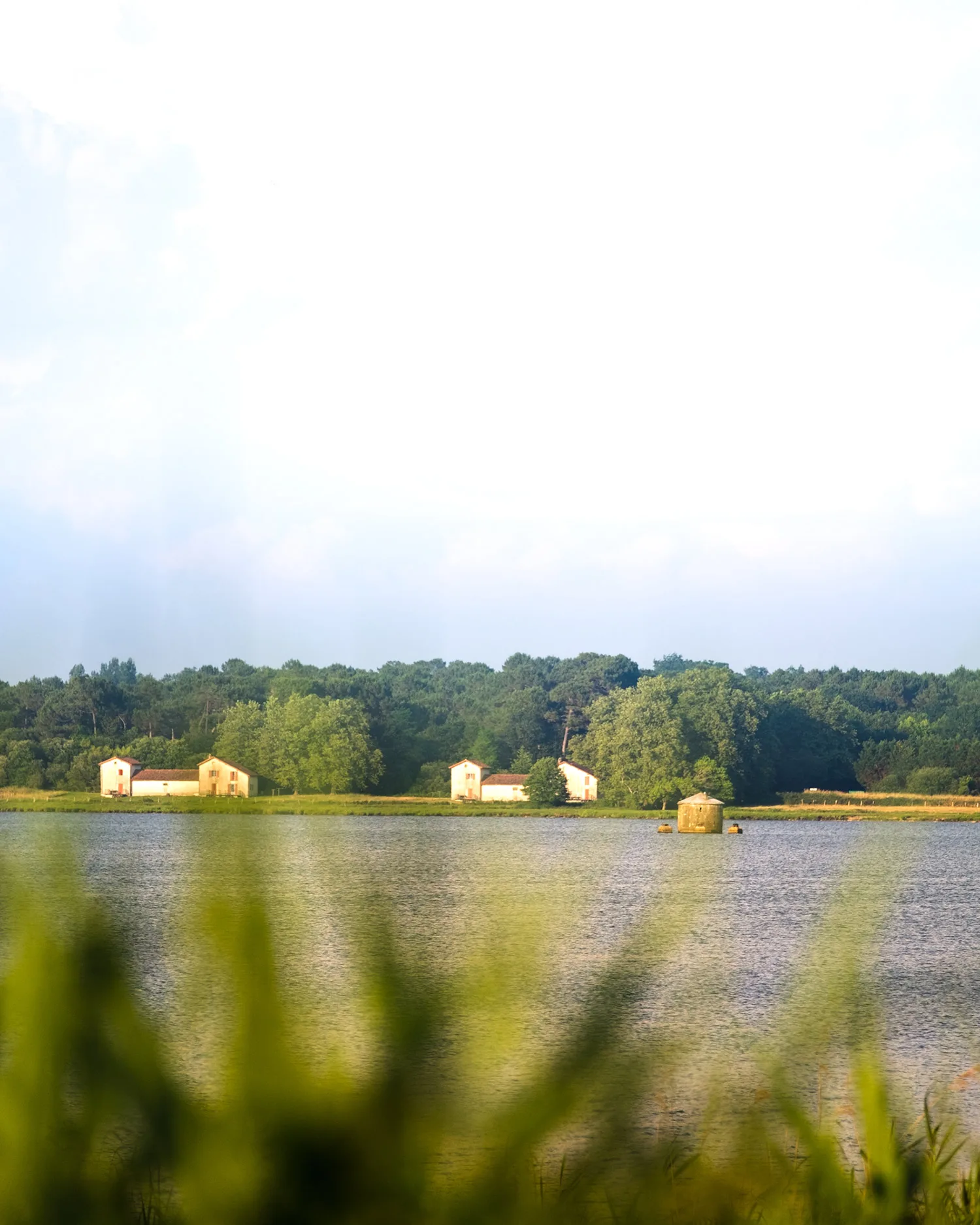 la réserve naturelle du marais d'orx à labenne