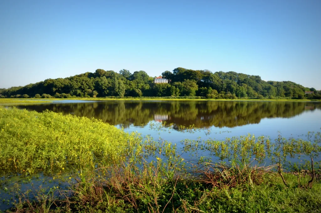 le marais d'orx à Labenne