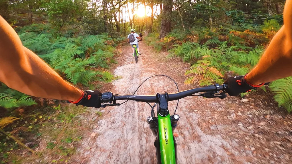 VTT sur les chemins en foret