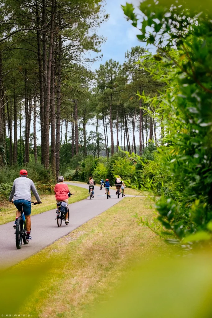 A vélo sur l'Itinérêve à Soustons