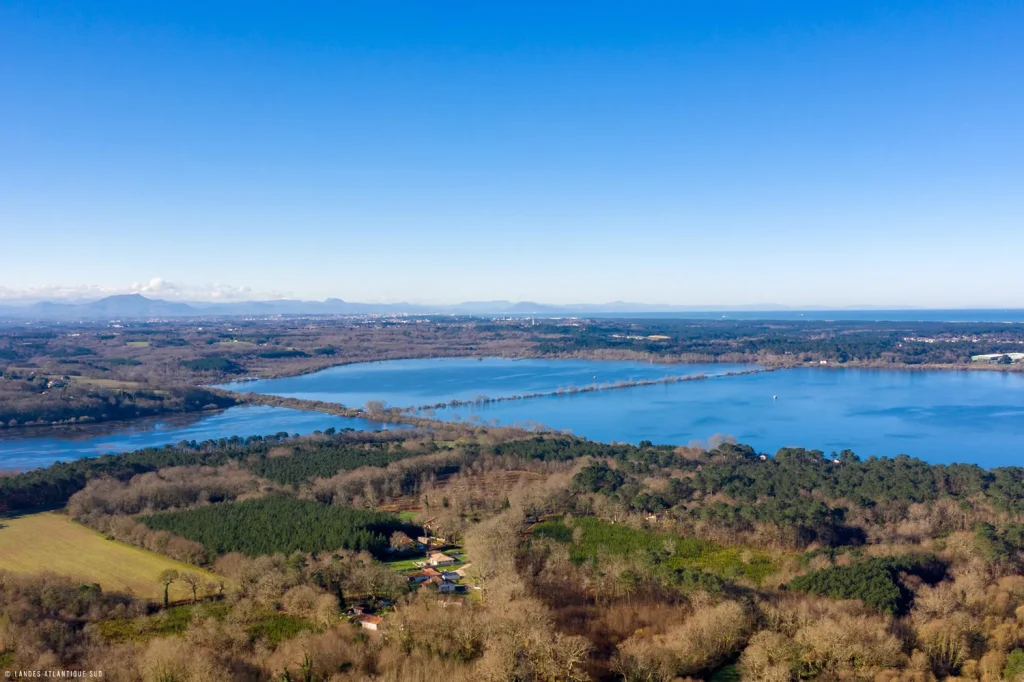 le marais d'orx à labenne