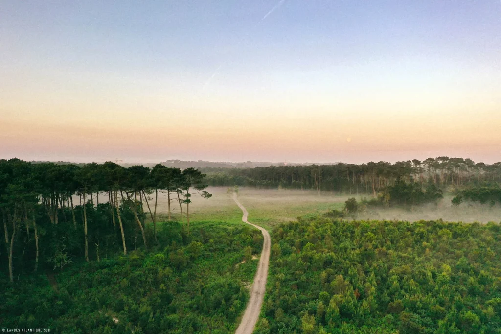 Vue aérienne du Sunrise sur la forêt de Labenne.