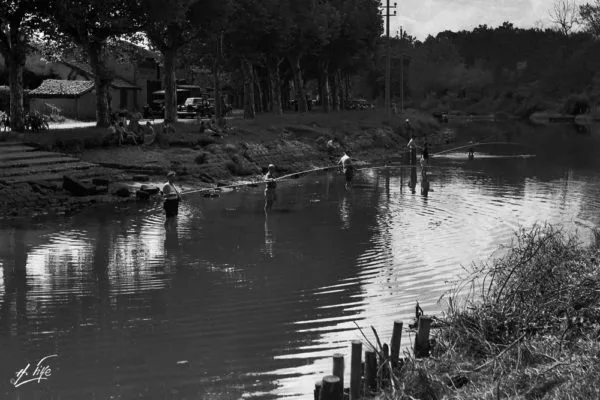 Baignade dans le boudigau de Capbreton.