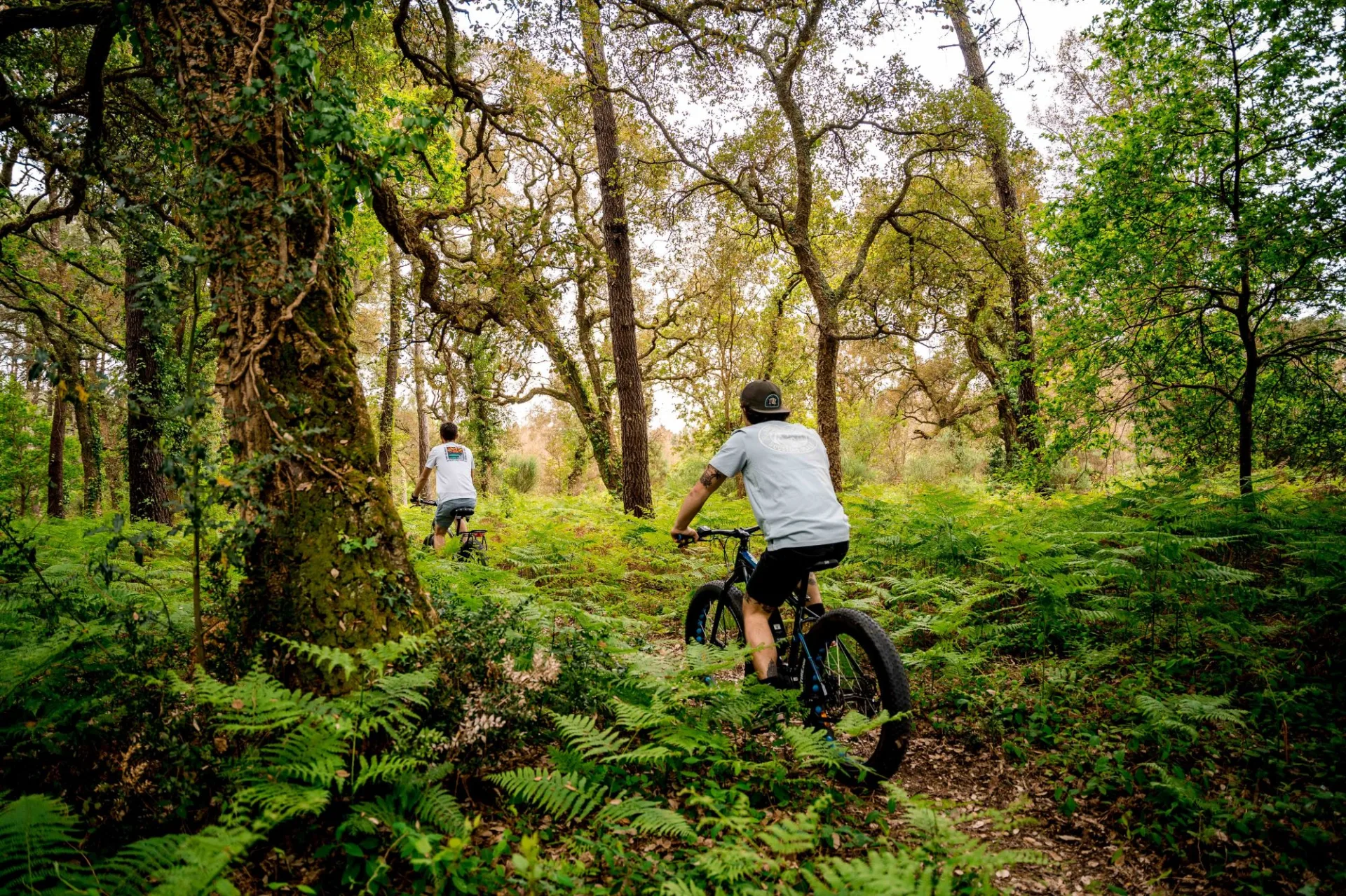 Sortie accompagnée à vélo dans la forêt du sud des Landes.