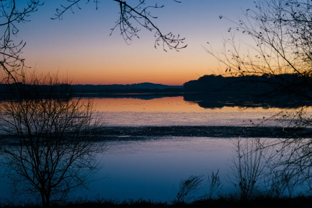 Coucher de soleil sur la réserve naturelle du marais d'Orx