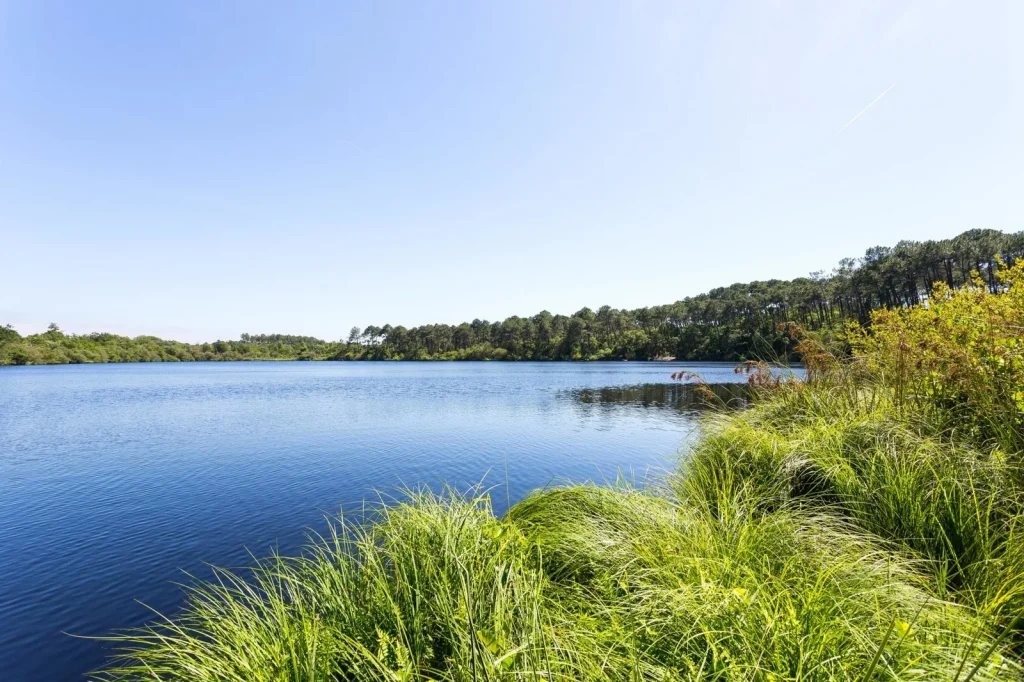 vue sur l'étang de Moliets-et-Maâ dans les Landes