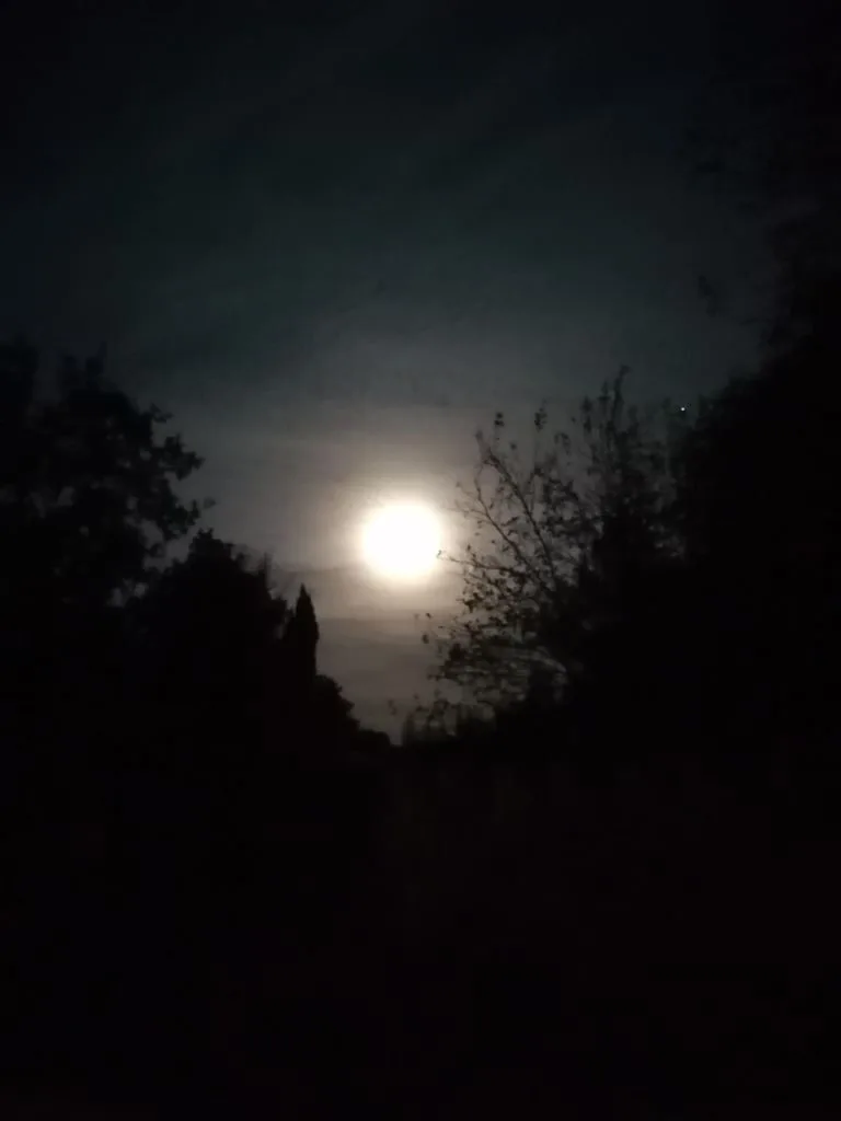 Bain-de-foret-de-la-pleine-lune