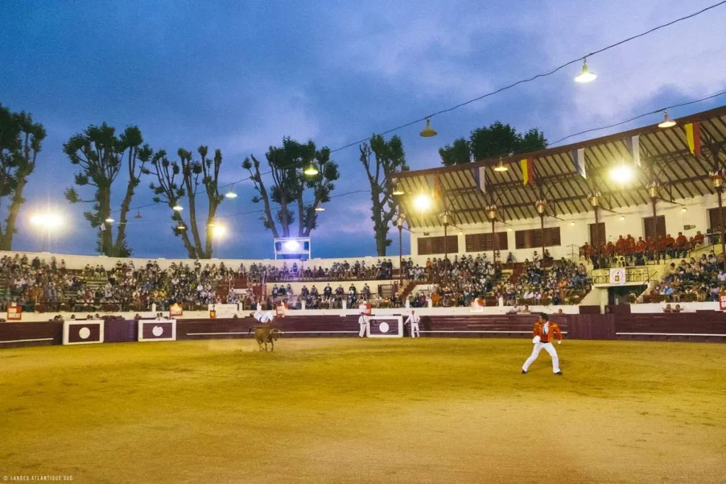 Course landaise dans les arènes de Soustons