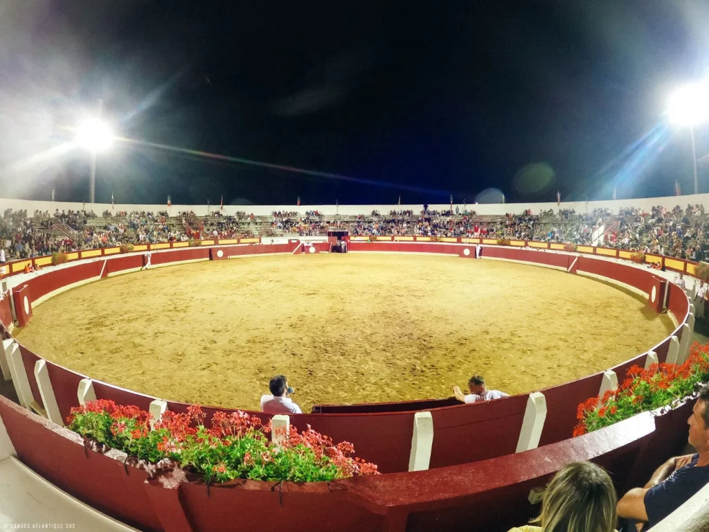 Arènes de Vieux-Boucau, un soir de course landaise