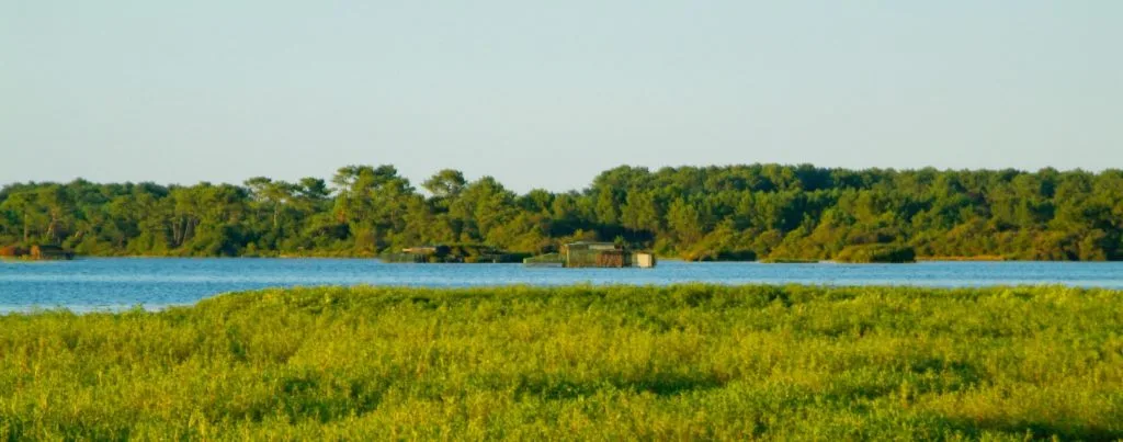 L'étang blanc