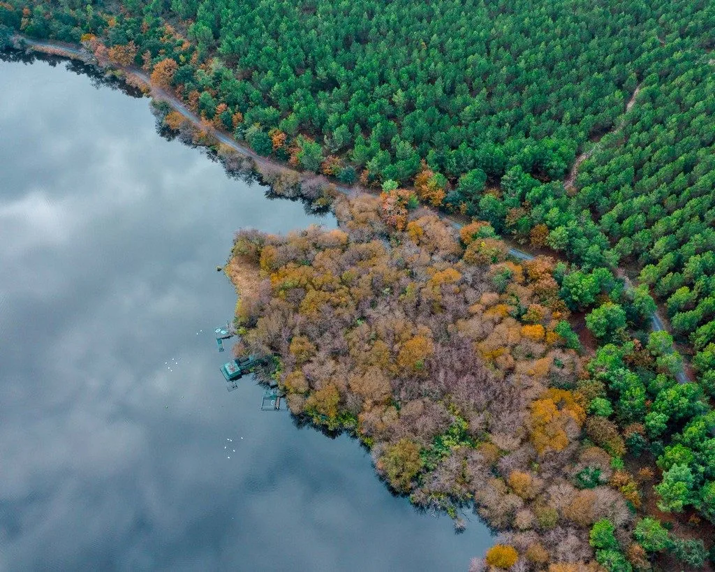 L'étang de Moïsan vue du ciel