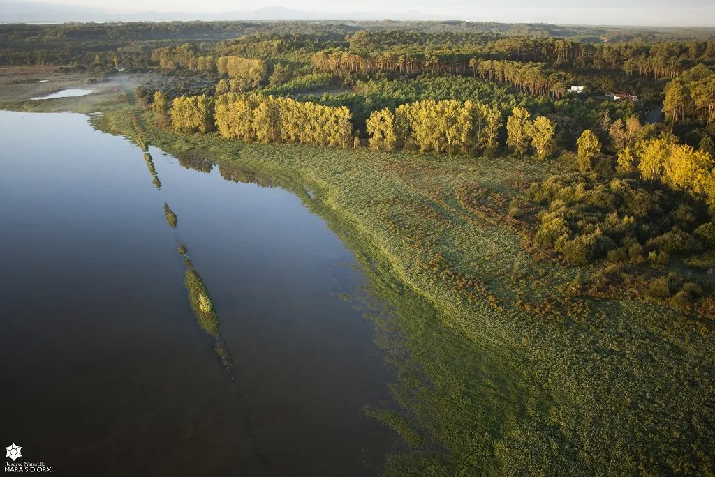 Le marais d'Orx vue du ciel