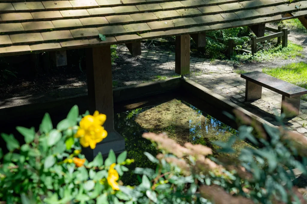 Lavoir du Bois de Fontaine à Tyrosse