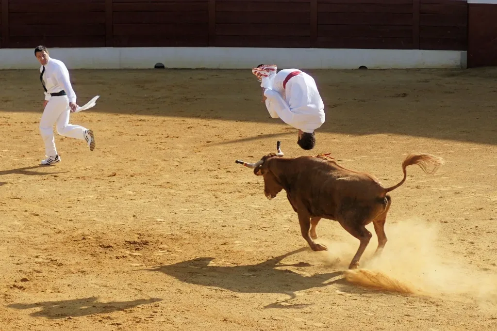 Ccourse landaise mixte capbreton