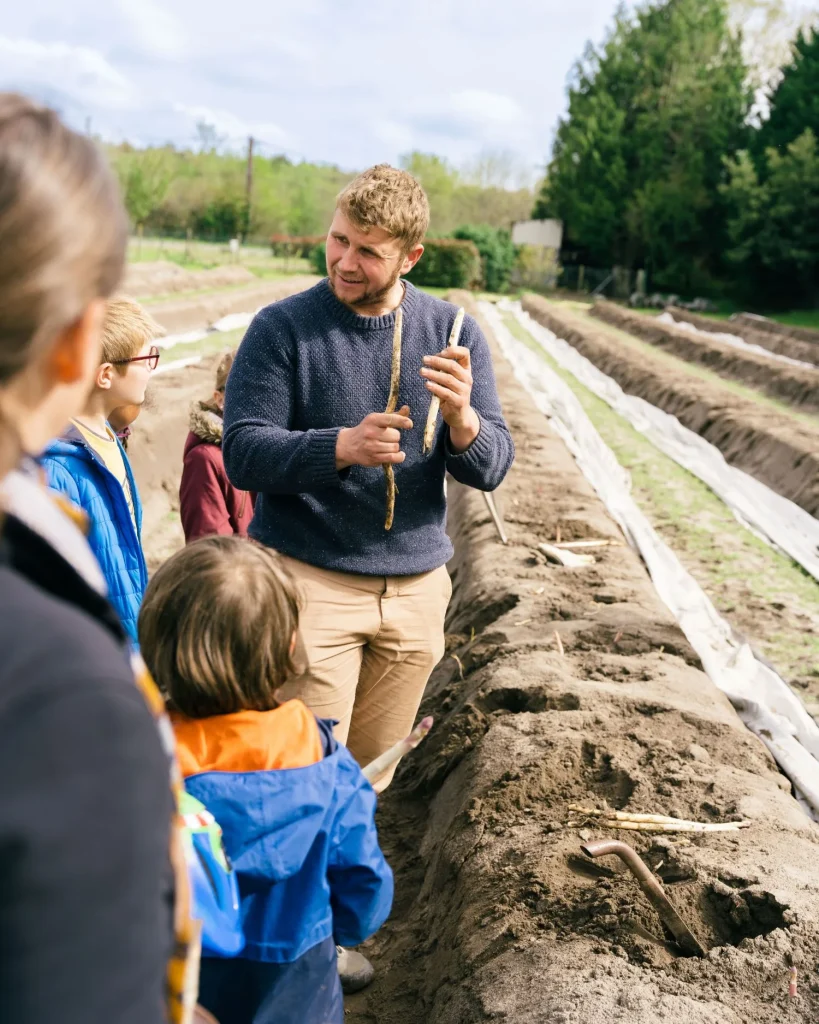 Visite d'un champ d'asperge dans les Landes (Mathio -Saubion)