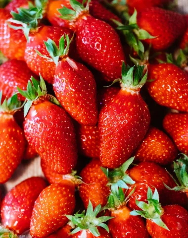 Les fraises de Soustons gorgées du soleil du sud des landes