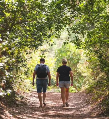 Randonnée en forêt à Moliets-et-Maâ