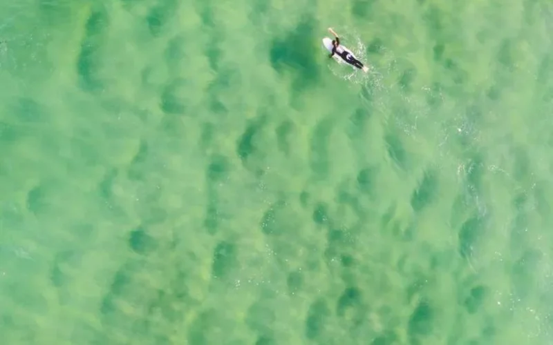 Surfeur vue drone