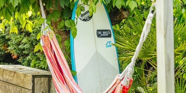 Hébergement surf dans les Landes, jardin avec hamac et planche de surf