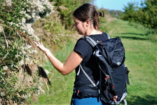 sortie botanique avec la bot a marion dans les landes