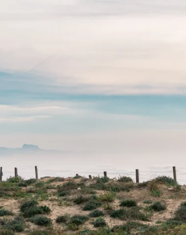 Vue sur la dune, l'océan et les Pyrénées, à Labenne dans les Landes en hiver.