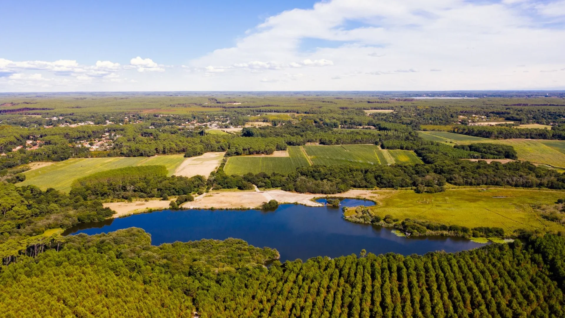 Etang et forêt de Messanges