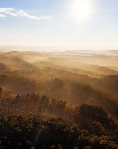 Foret landaise vue du ciel