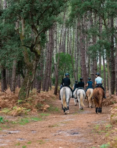 Balade à cheval dans la foret landaise