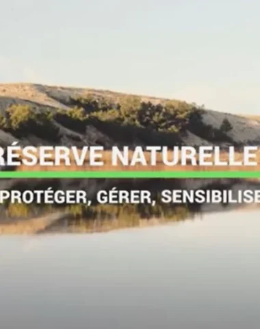 Qu'est-ce qu'une réserve naturelle ?