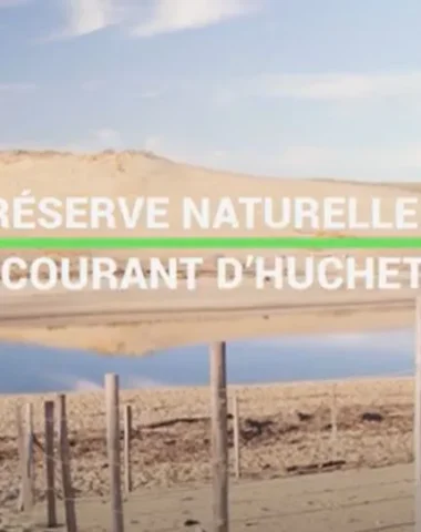 Réserve naturelle du Courant d'Huchet