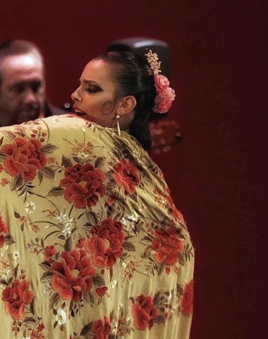 Le Festival d'Hiver Arte Flamenco fait monter la température à Soustons