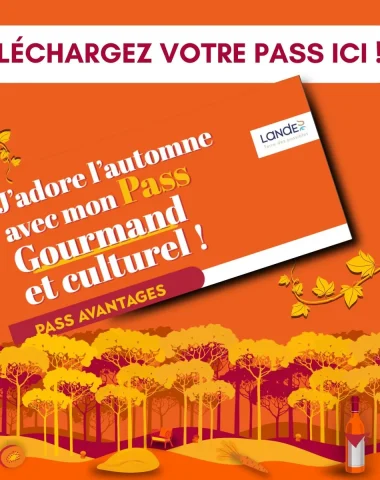 Automne Gourmand et culturel des Landes