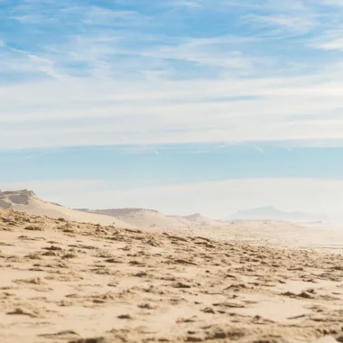 Un sapin pour la dune