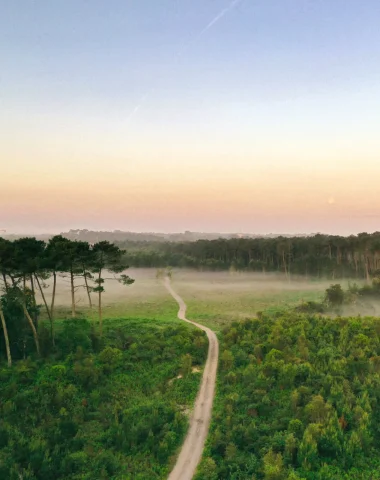 Forêt de Labenne au lever du soleil, vue d'en haut