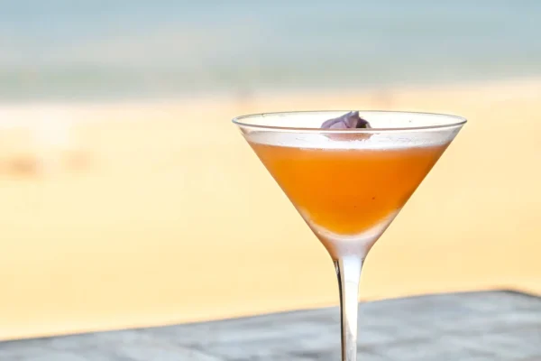 Un cocktail en terrasse à Hossegor avec vue sur l'Océan