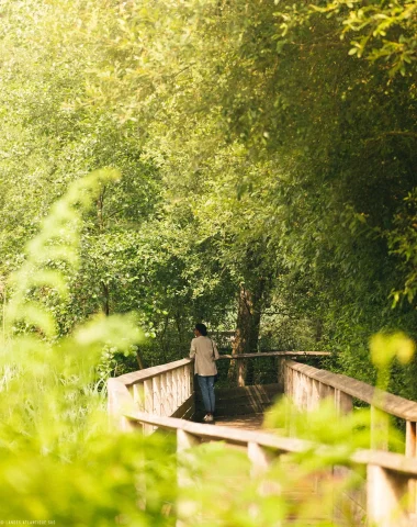 visite de la réserve naturelle du marais d'orx à labenne