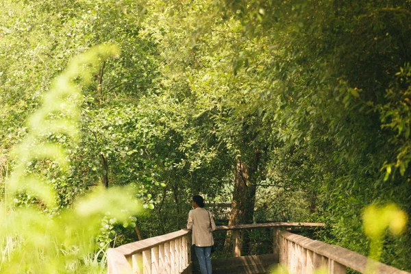 visite de la réserve naturelle du marais d'orx à labenne