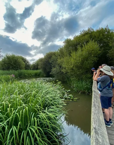 visite guidée de la réserve naturelle du marais d'orx à labenne