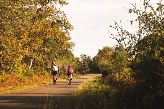 A vélo sur la voie verte entre Soustons et Vieux-Boucau