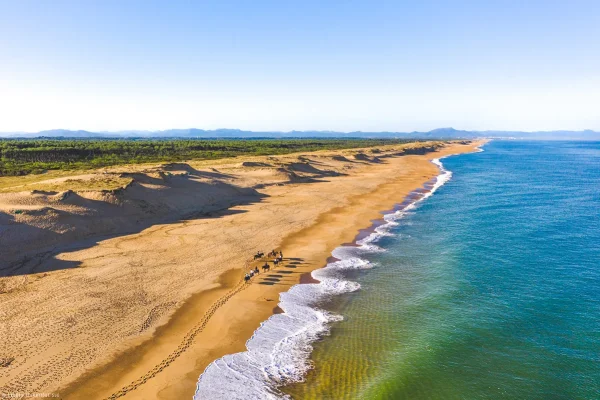 Balade équestre au sud de Capbreton