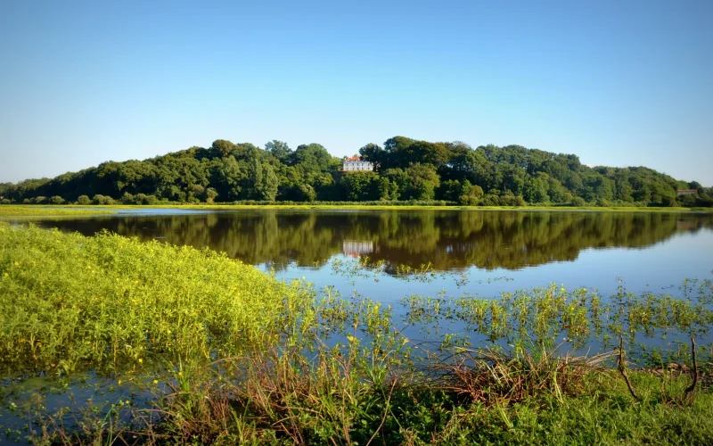 le marais d'orx à Labenne