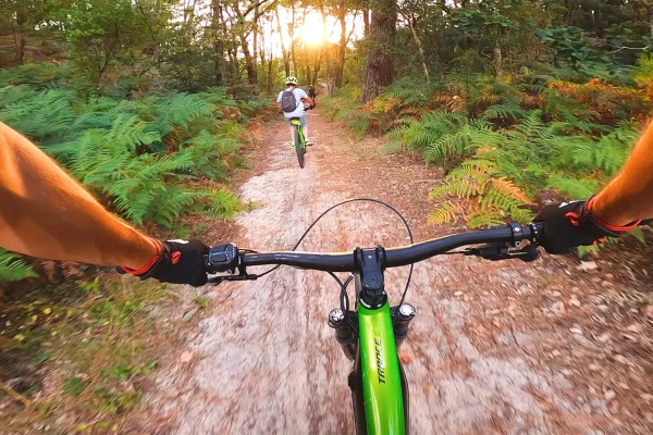 VTT sur les chemins en foret vélo