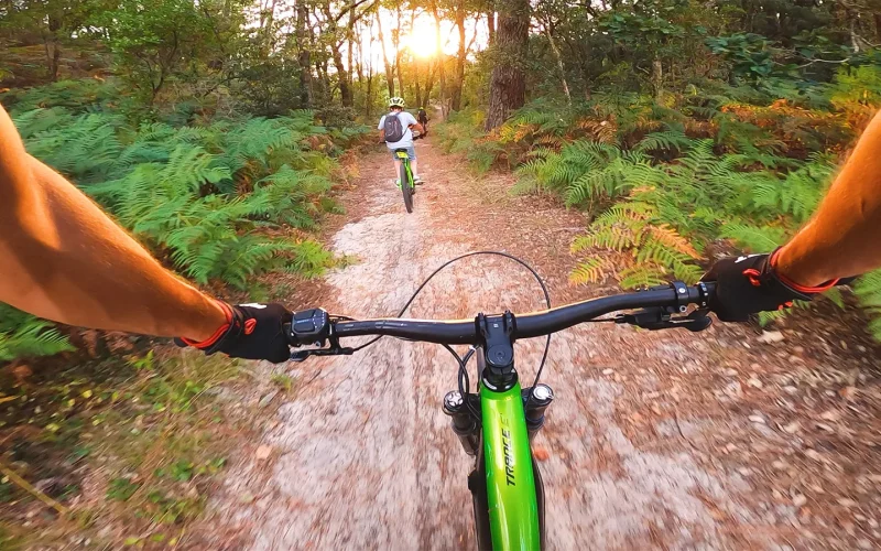 VTT sur les chemins en foret vélo