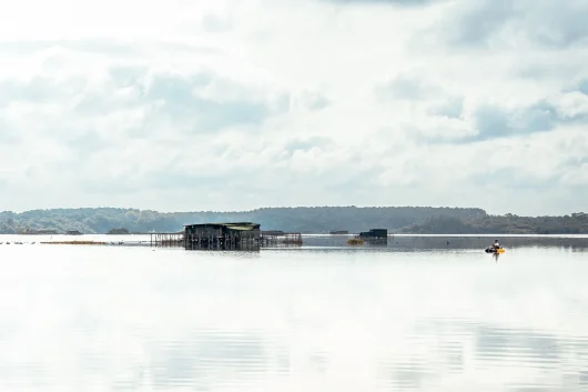 L'étang Blanc sur les communes de Soustons, Tosse et Seignosse, le paradis de pêcheurs