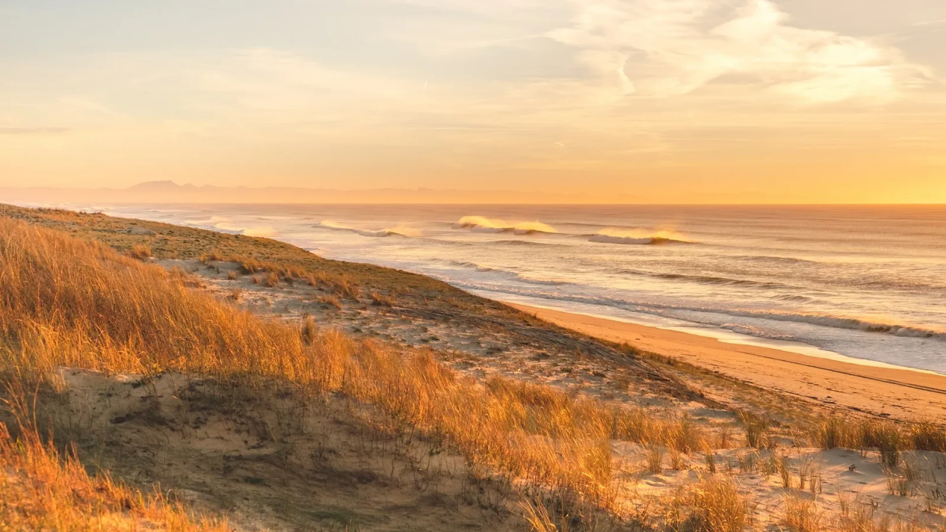 plage sauvage à soustons dans les landes