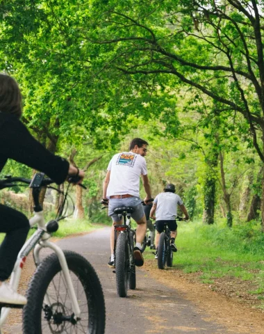 Sortie à vélo dans la forêt landaise