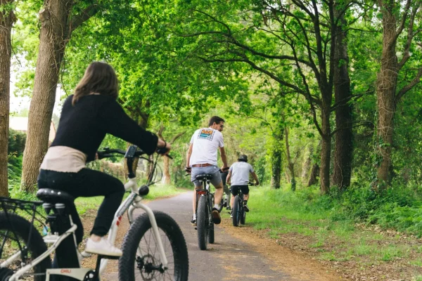 Sortie à vélo dans la forêt landaise