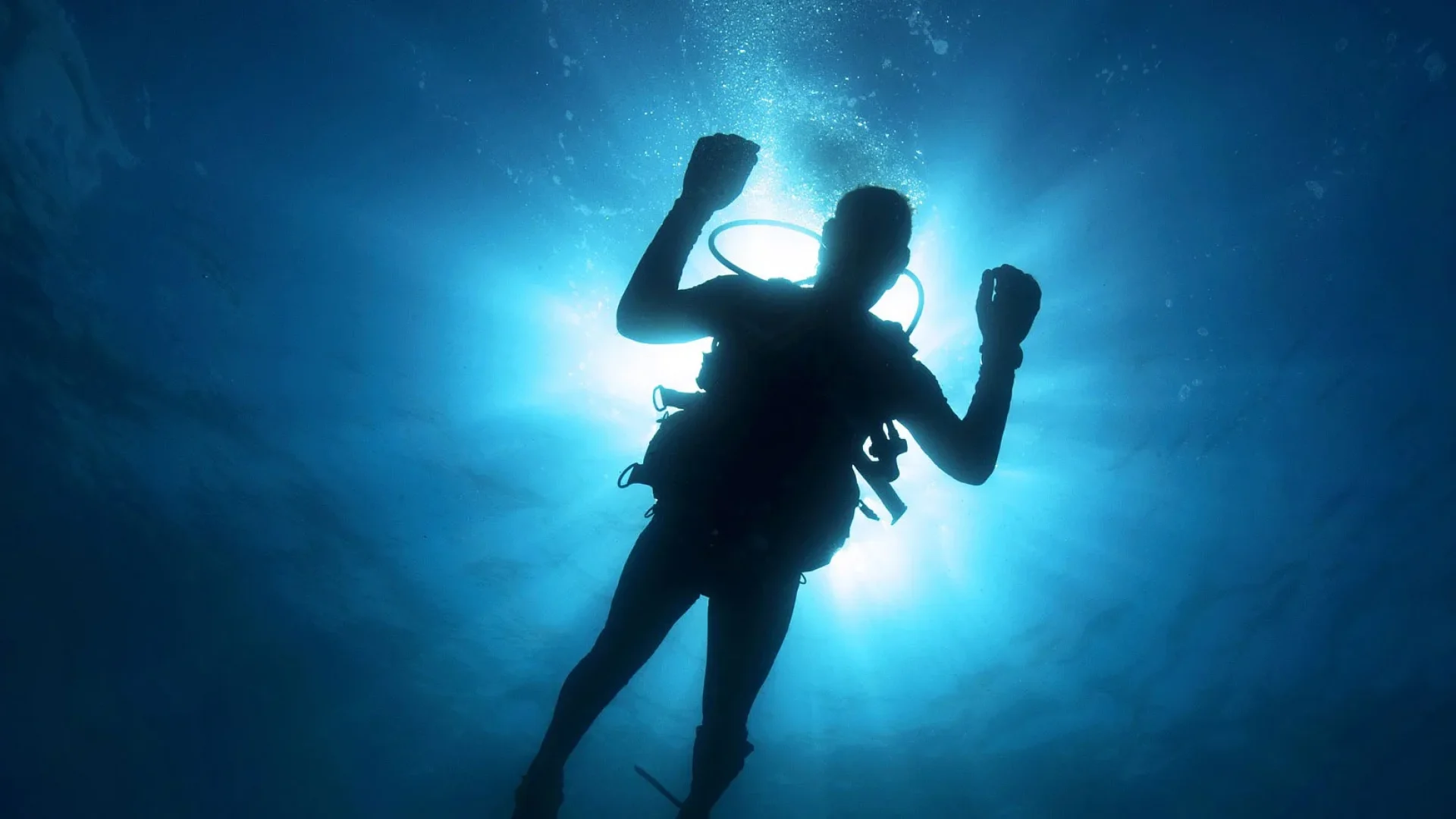 Plongée sous-marine dans les profondeurs de Capbreton.