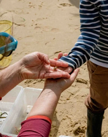 Animation enfant pêche à pieds au lac marin de Port d'Albret à Vieux-Boucau